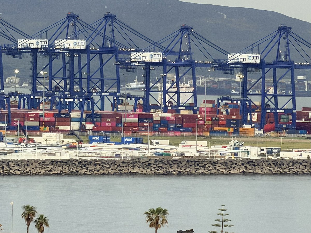 Carpe Diem...🍀 tweet media