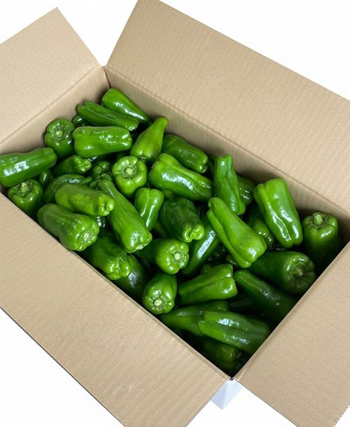 ワケあり宅配本舗 🏠 玄関先に届く幸せ tweet media