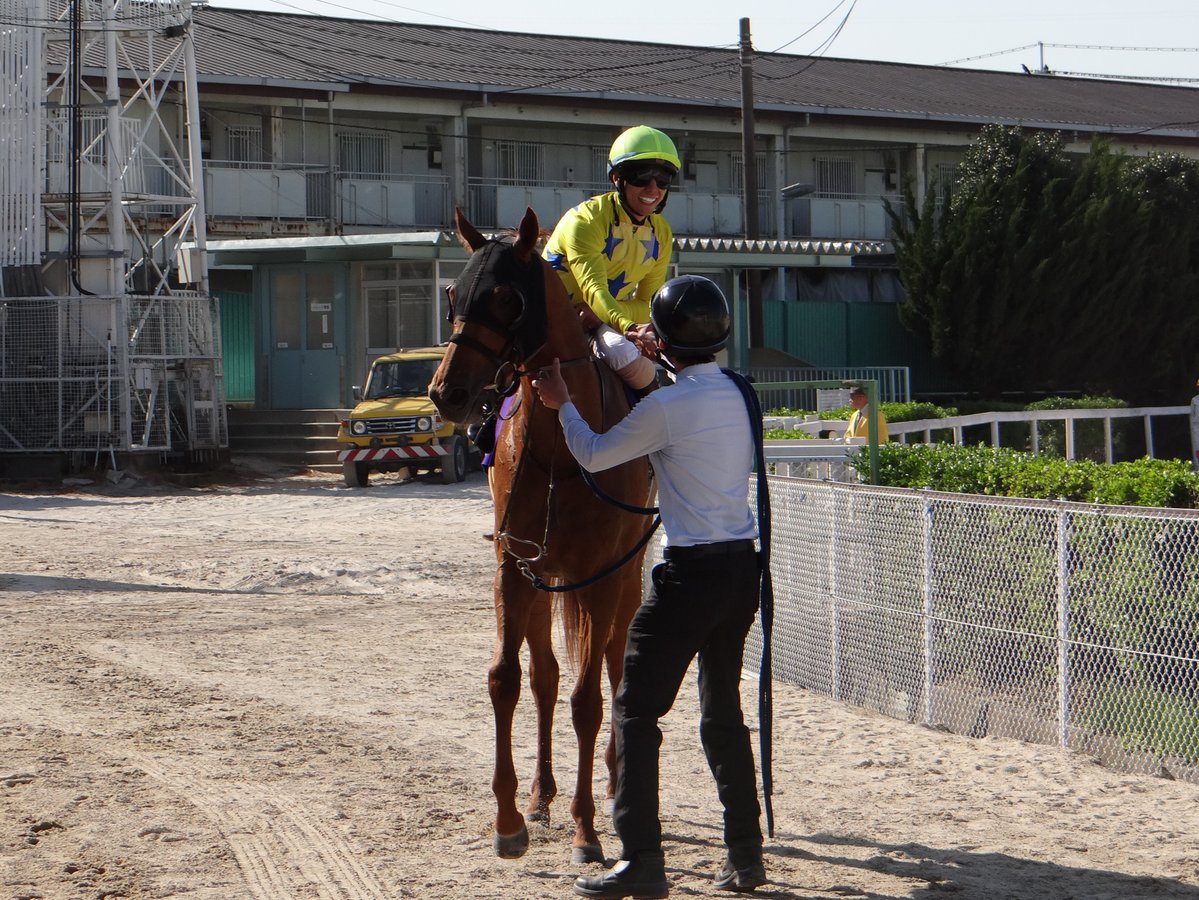 兵庫アーバン競馬（HUK）園田競馬場•姫路競馬場　公式 tweet media