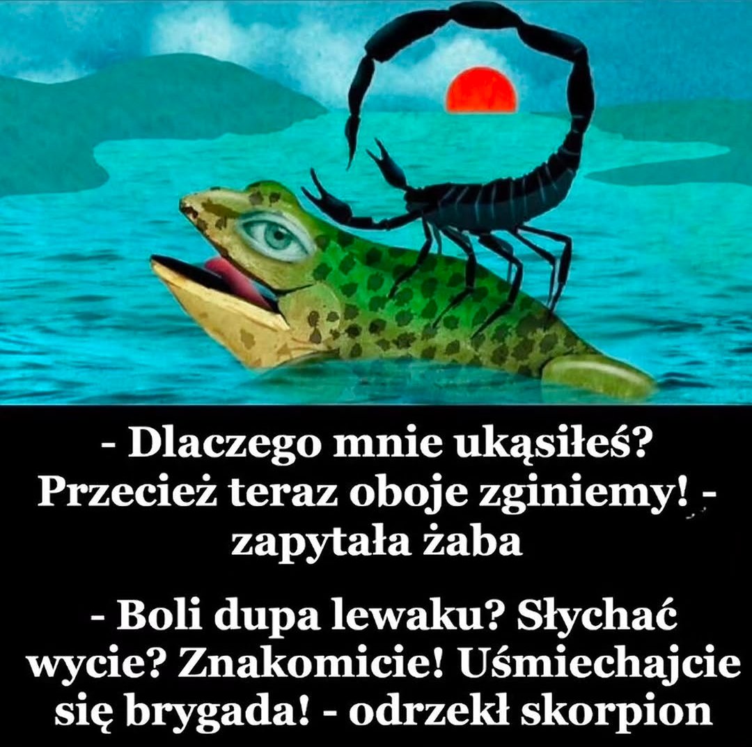 Mikołaj Murczkiewicz tweet media