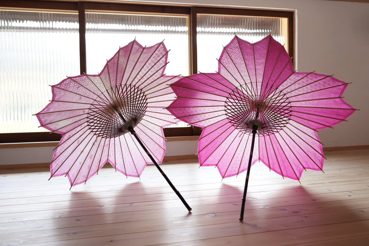 仐日和 (岐阜和傘) tweet media