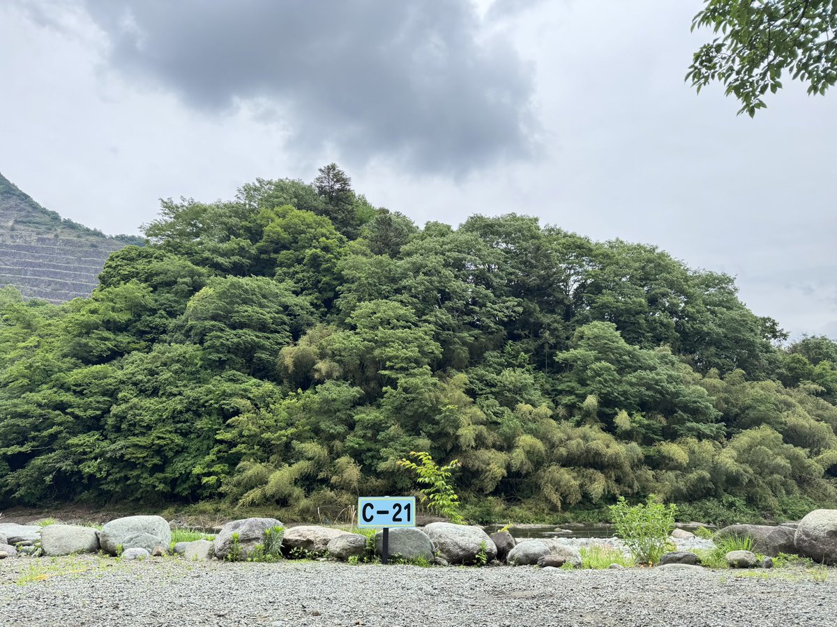 ライ太さん tweet media