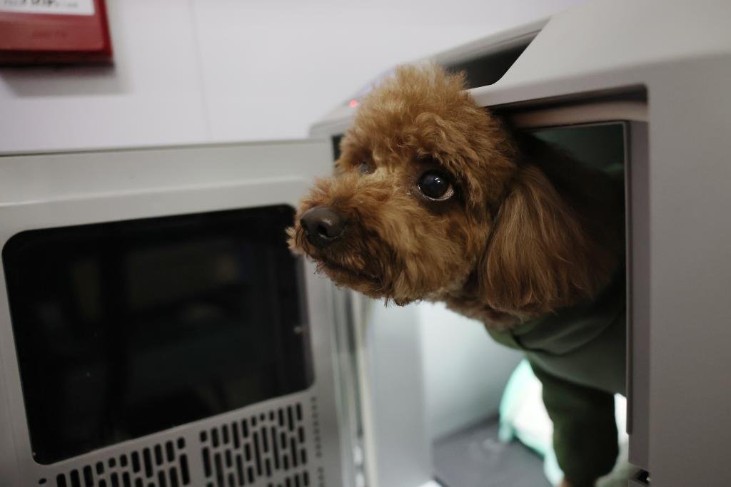 Ifeng News tweet media