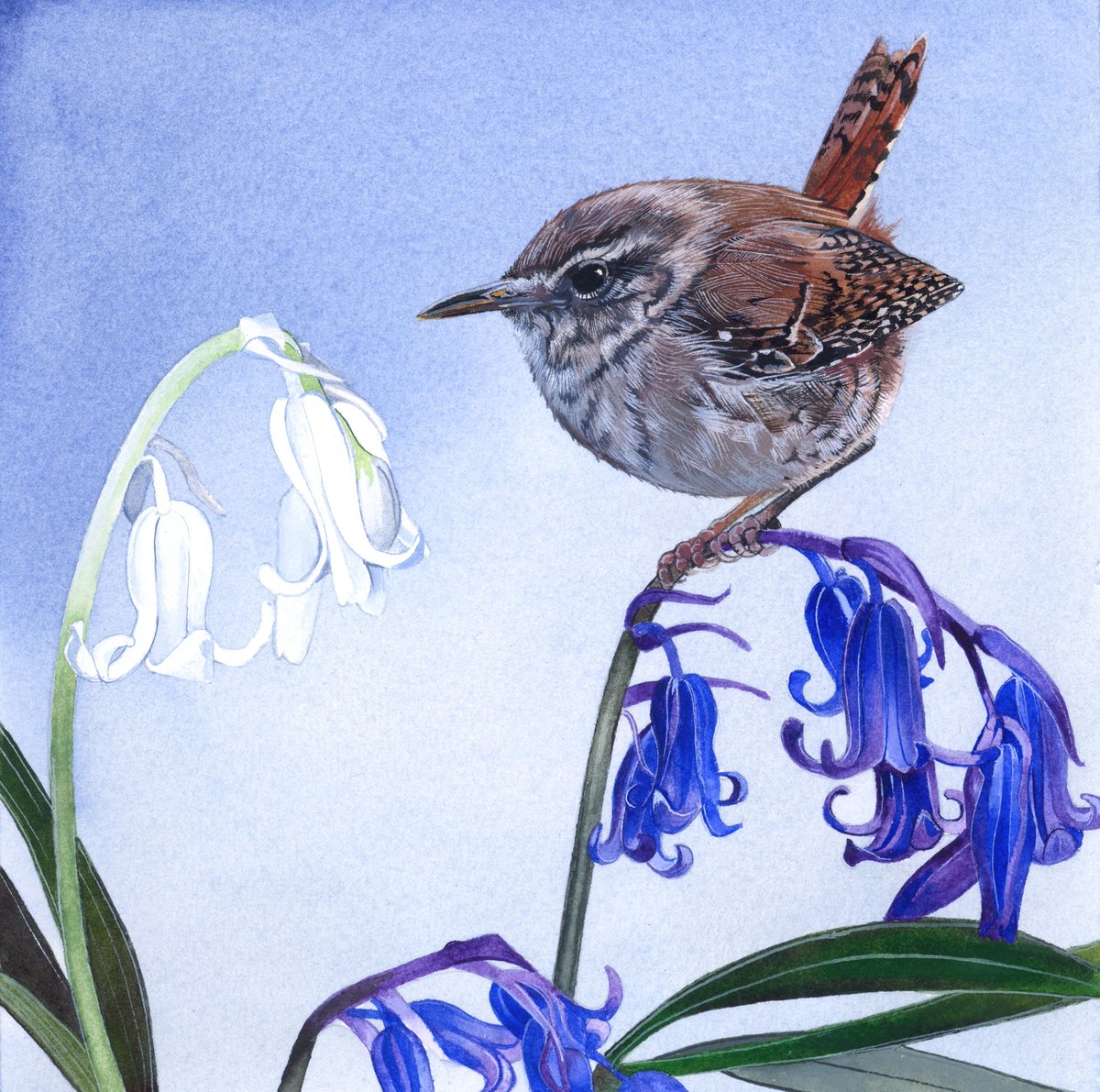 Sam Cannon Art tweet media