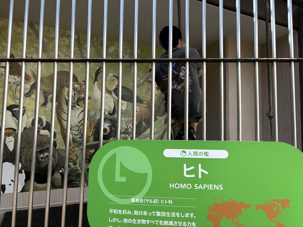 おきろと@沖縄顔のろと tweet media