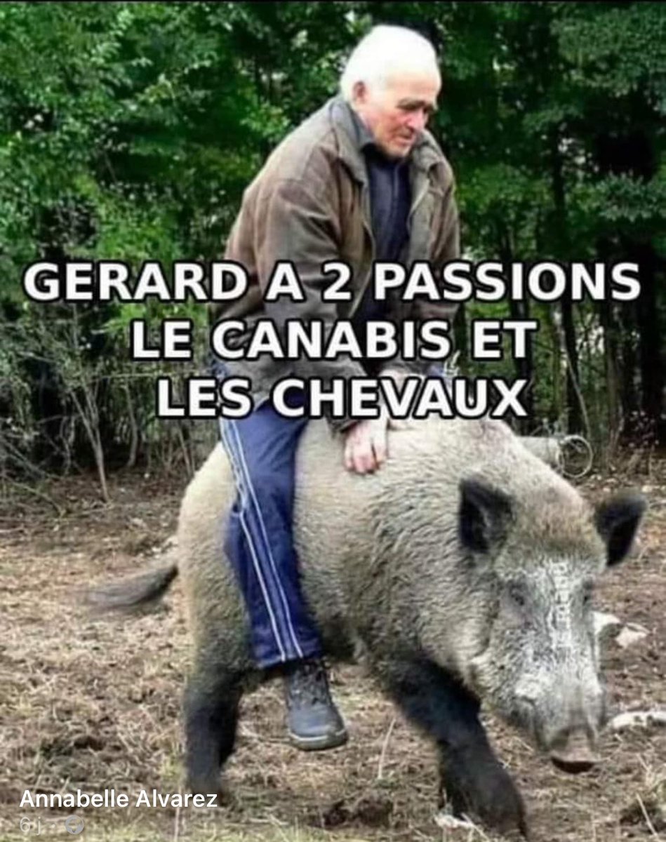 Have a guess tweet media