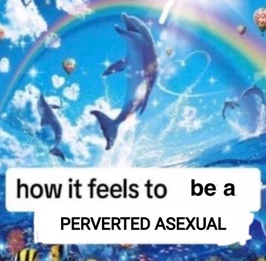 Succupaw 🔞🐾 tweet media