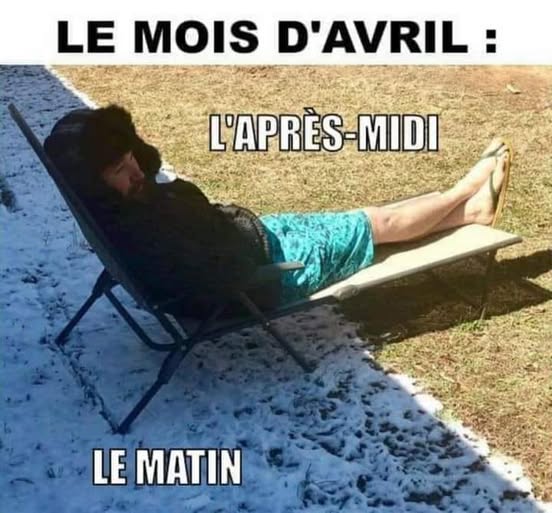 PlanPlan-Bilou tweet media