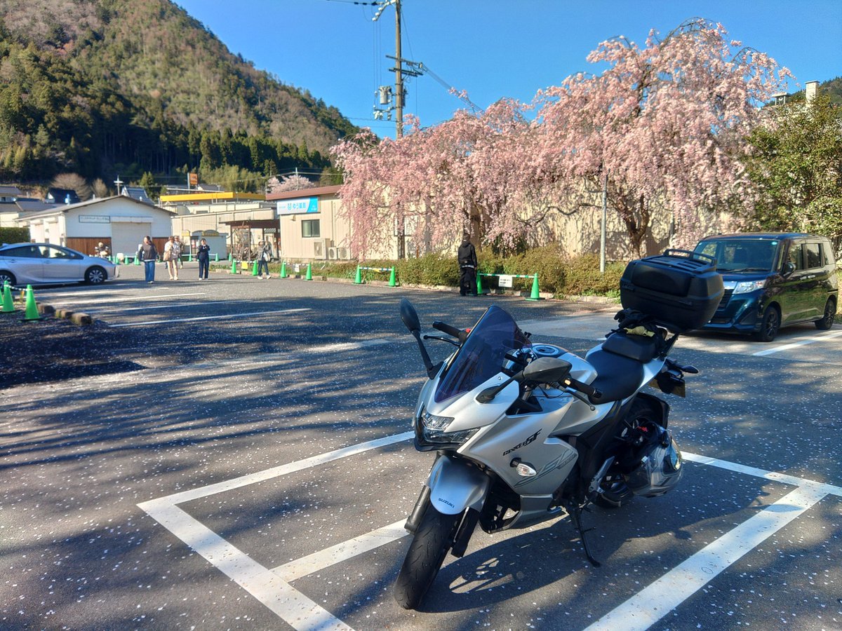 みるふぉん tweet media