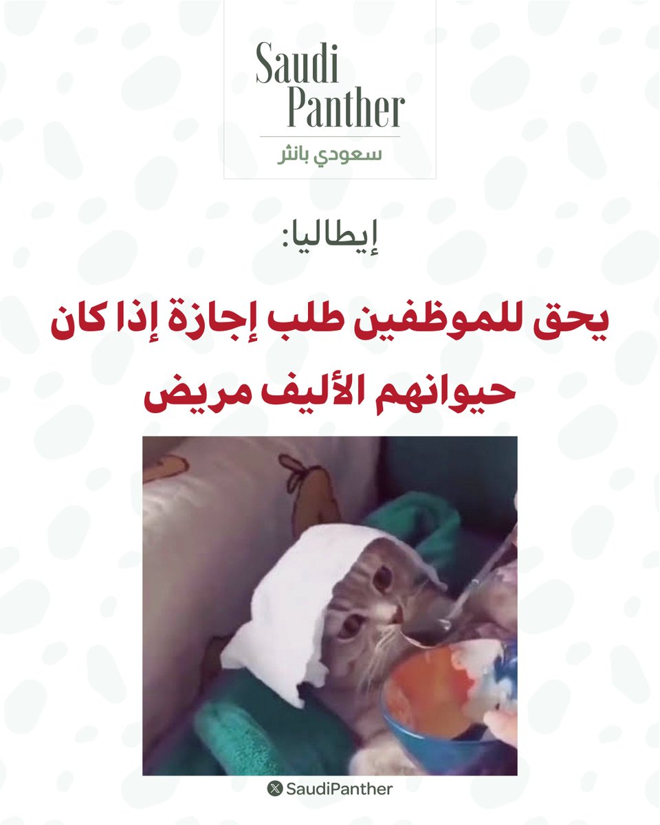 saudi panther | سعودي بانثر tweet media