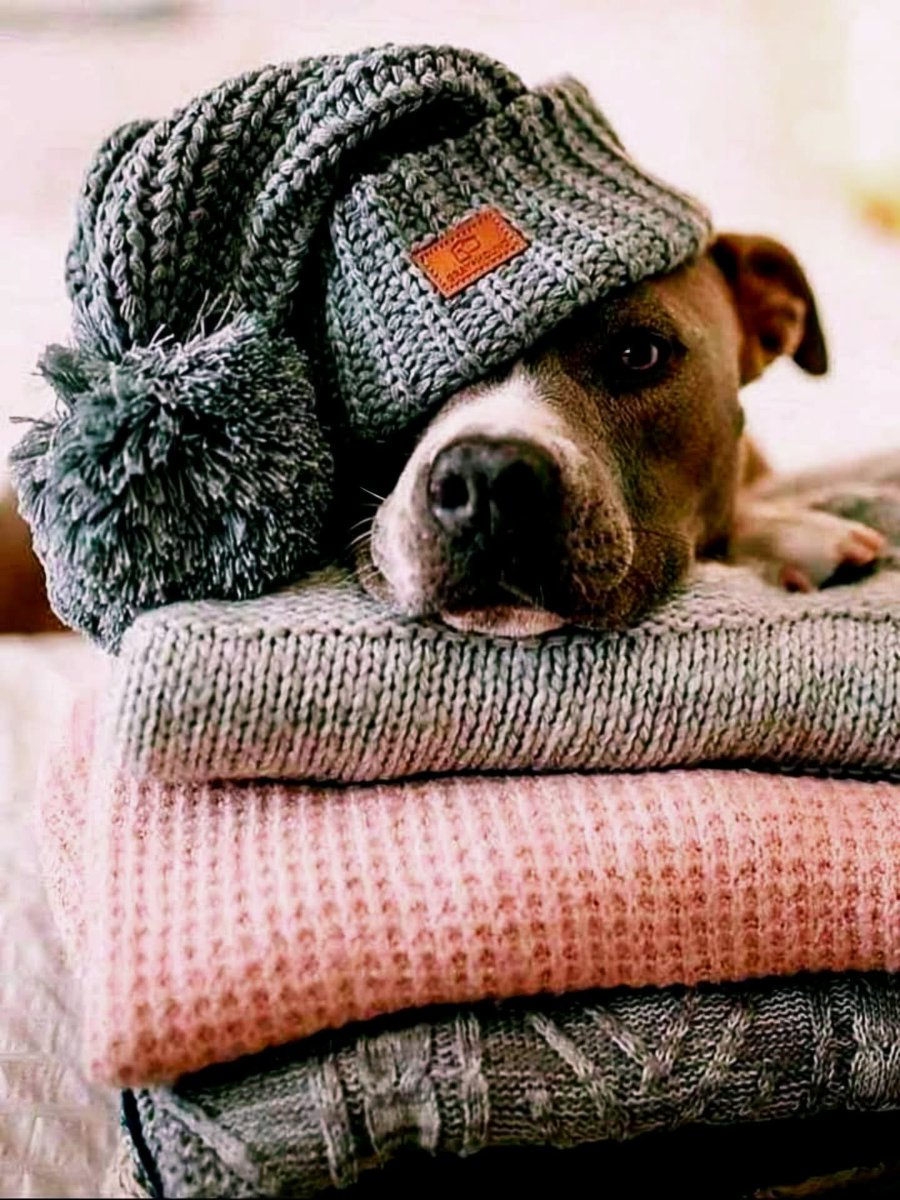 zeynep krtl tweet media