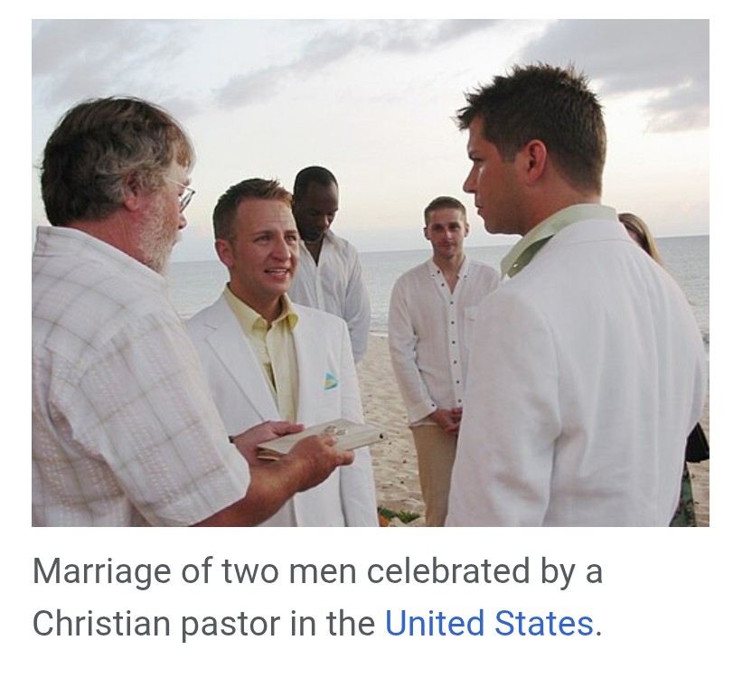 thehuman tweet media