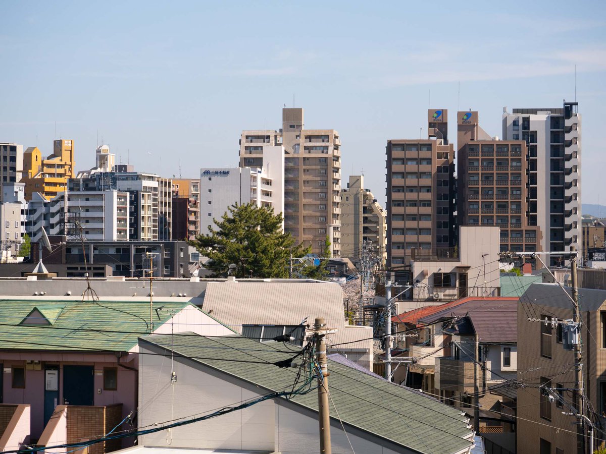 天リフ編集部 tweet media