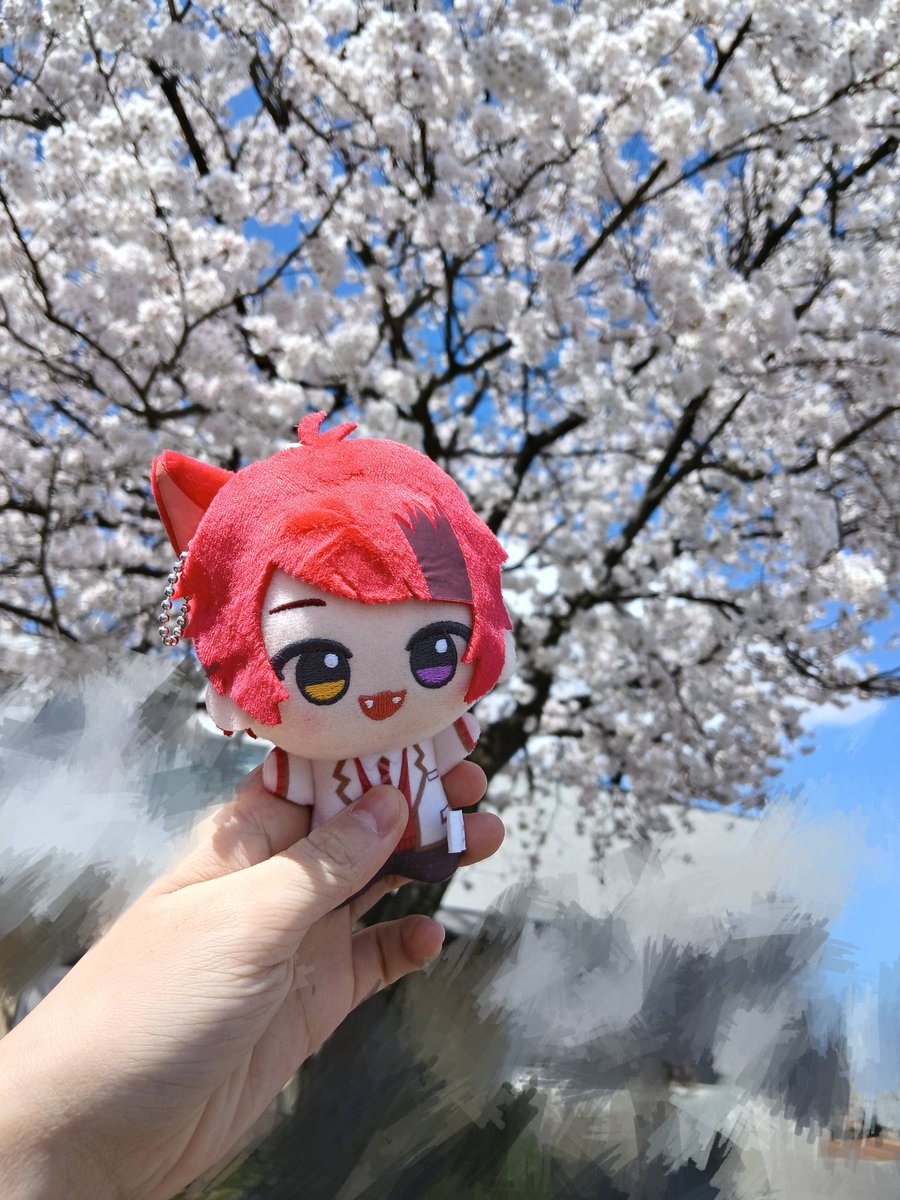 みおちゃむᜊ•ᴗ•ᜊ tweet media