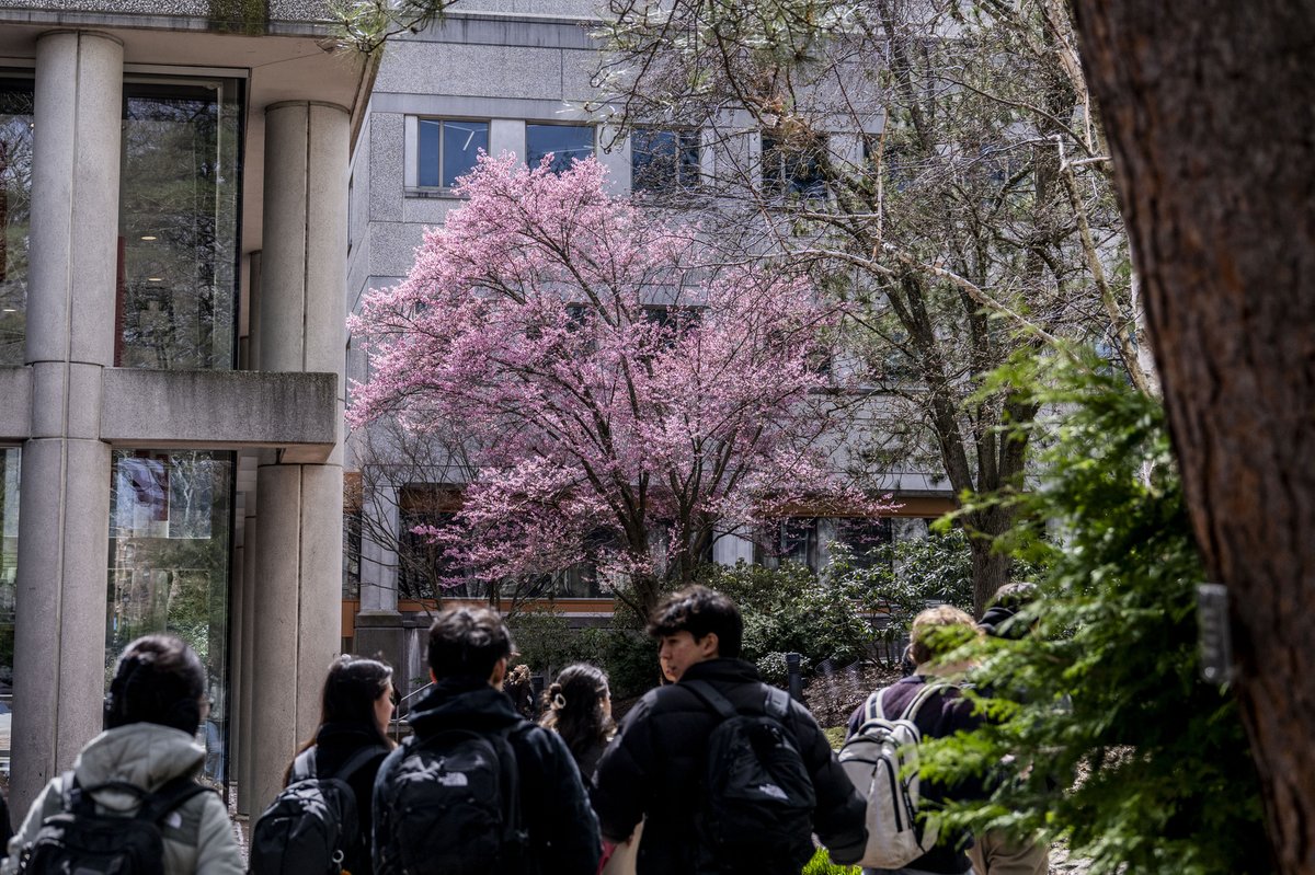 Northeastern University tweet media