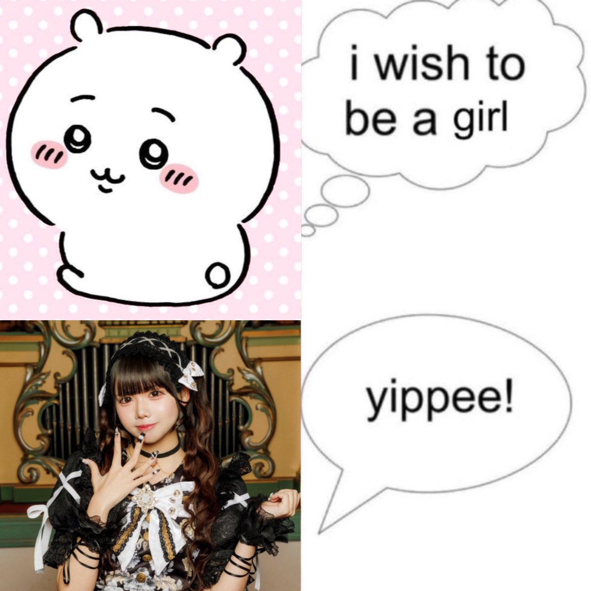 monyanan 🥀🐈‍⬛ tweet media