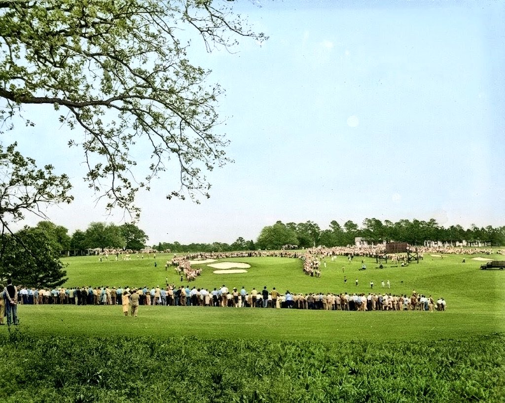 Simon Haines tweet media