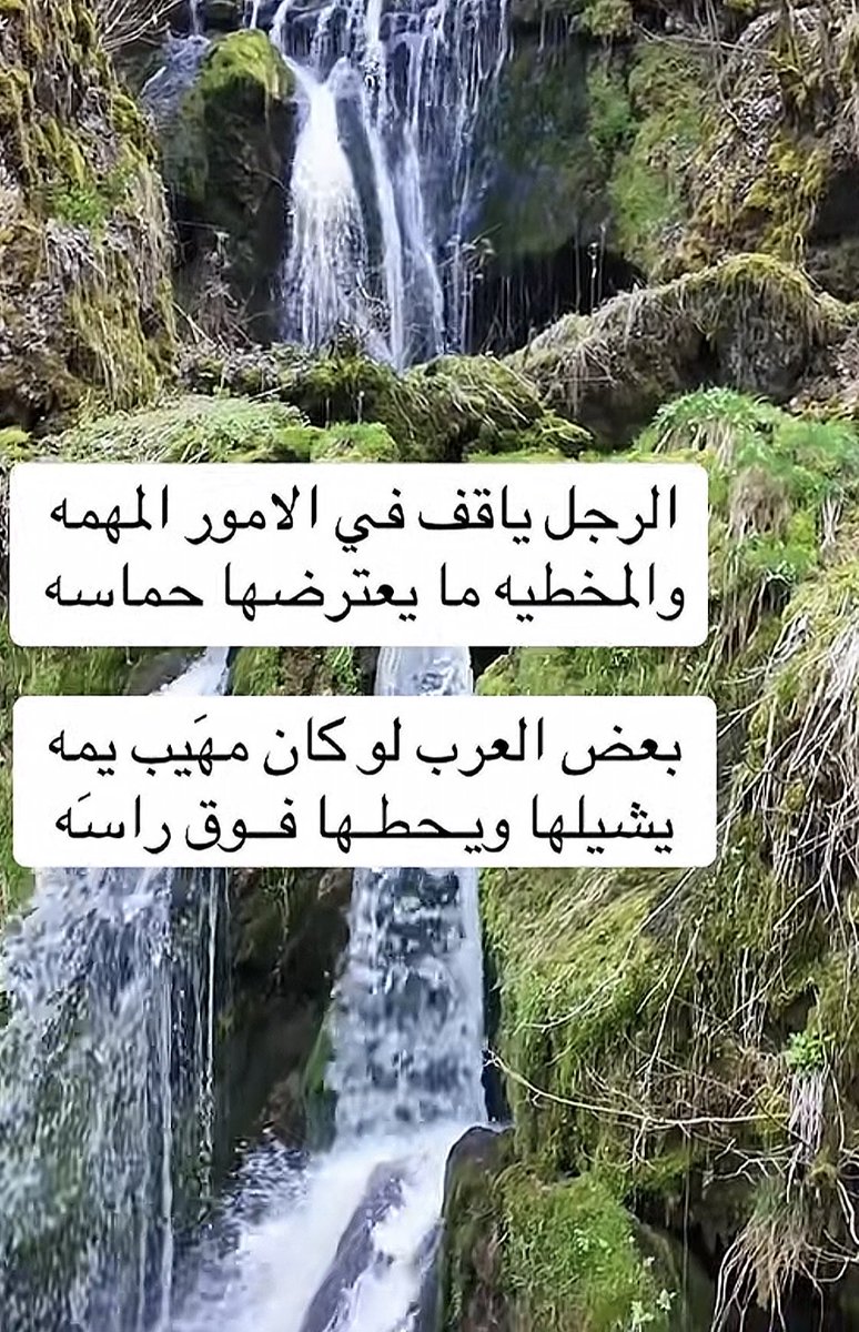 فزعة خير tweet media