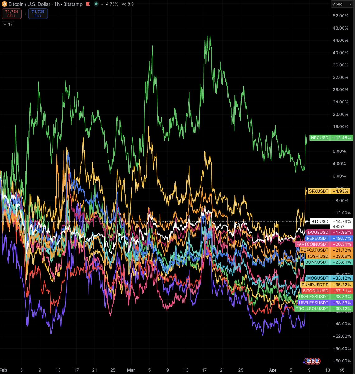 Cryptic Tits (NPCmaxxing) tweet media
