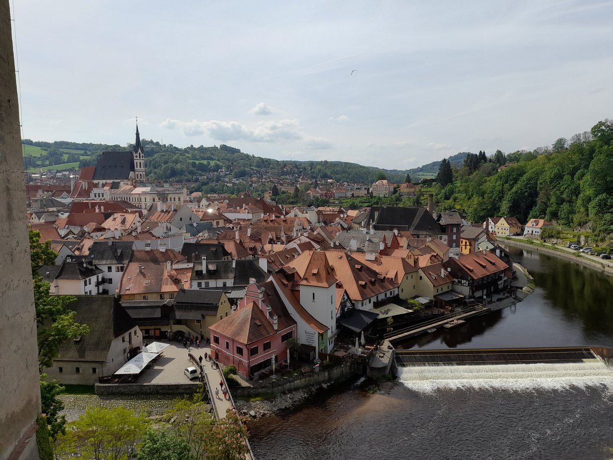 Guenther Fuchs tweet media