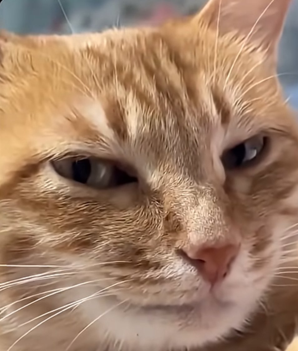 かずま tweet media