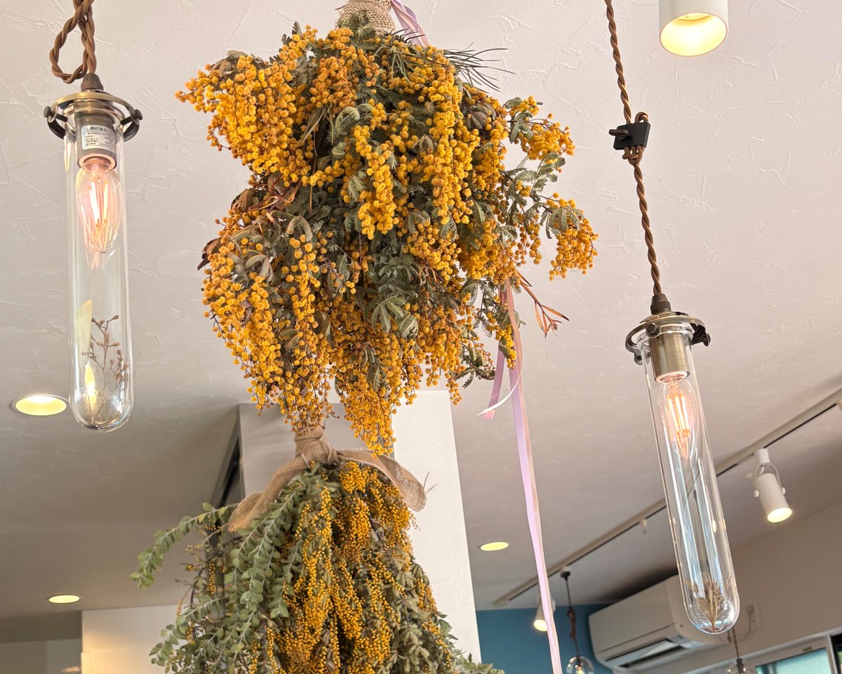 灯美 舞 Mai Tomi 🎧 tweet media