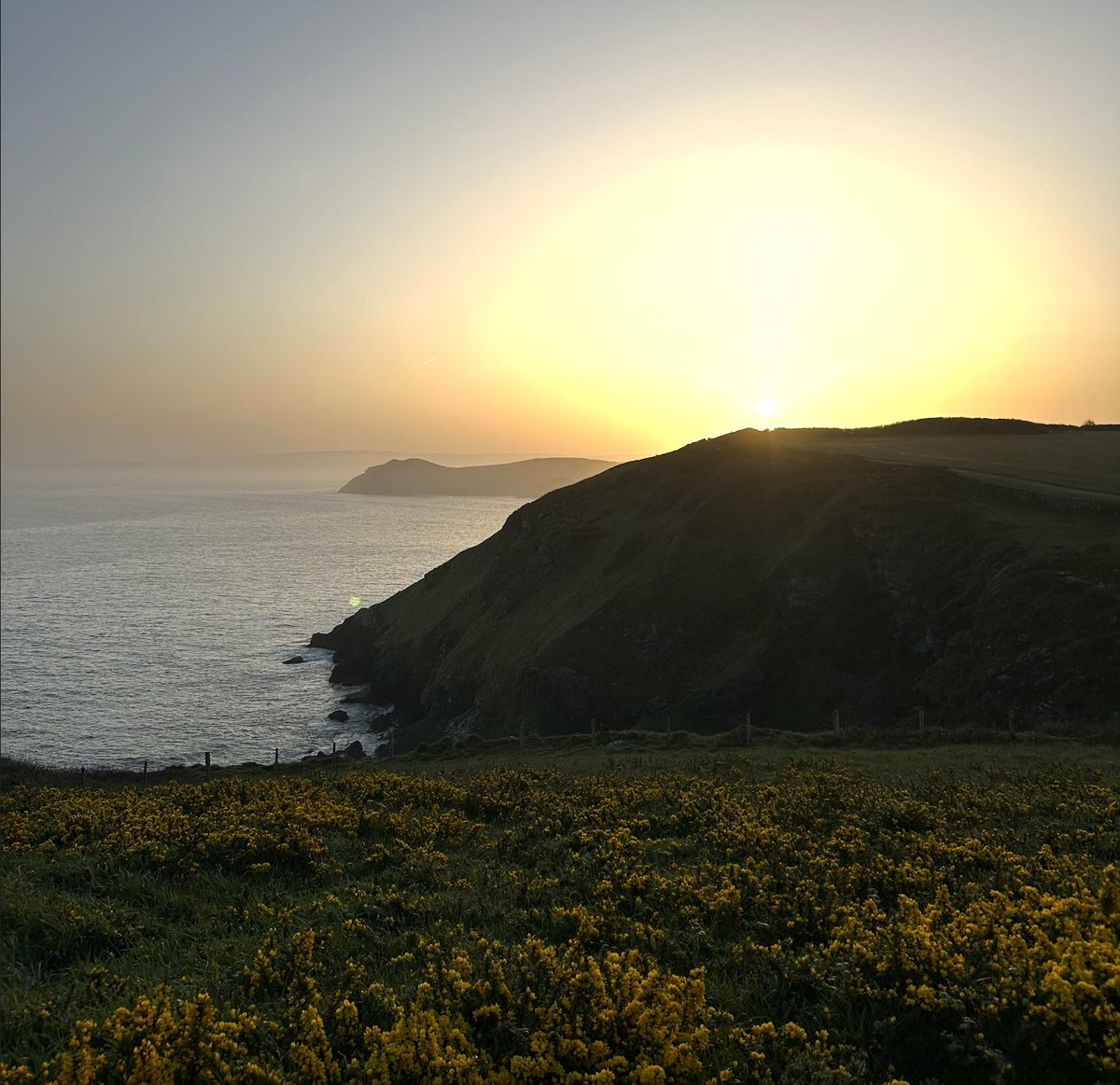 Katie Childs tweet media