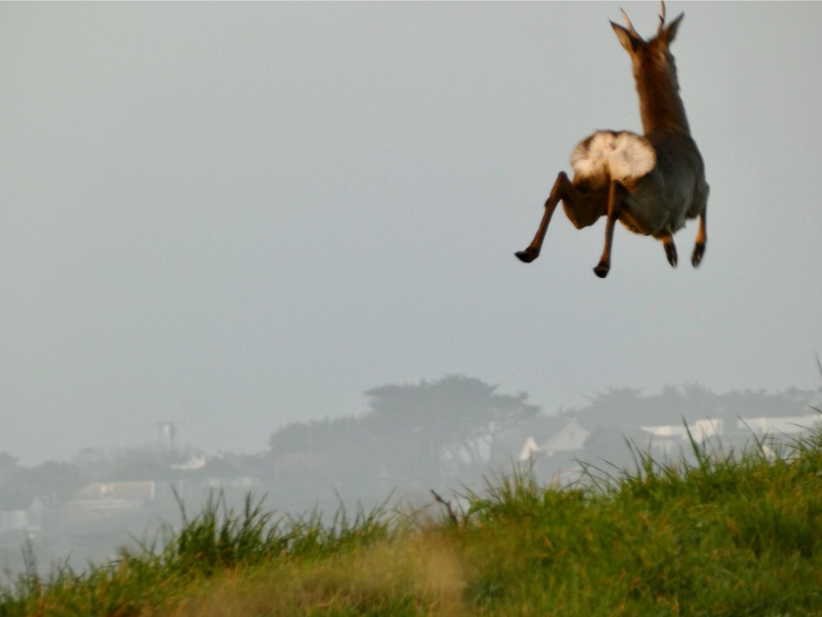 Katie Childs tweet media