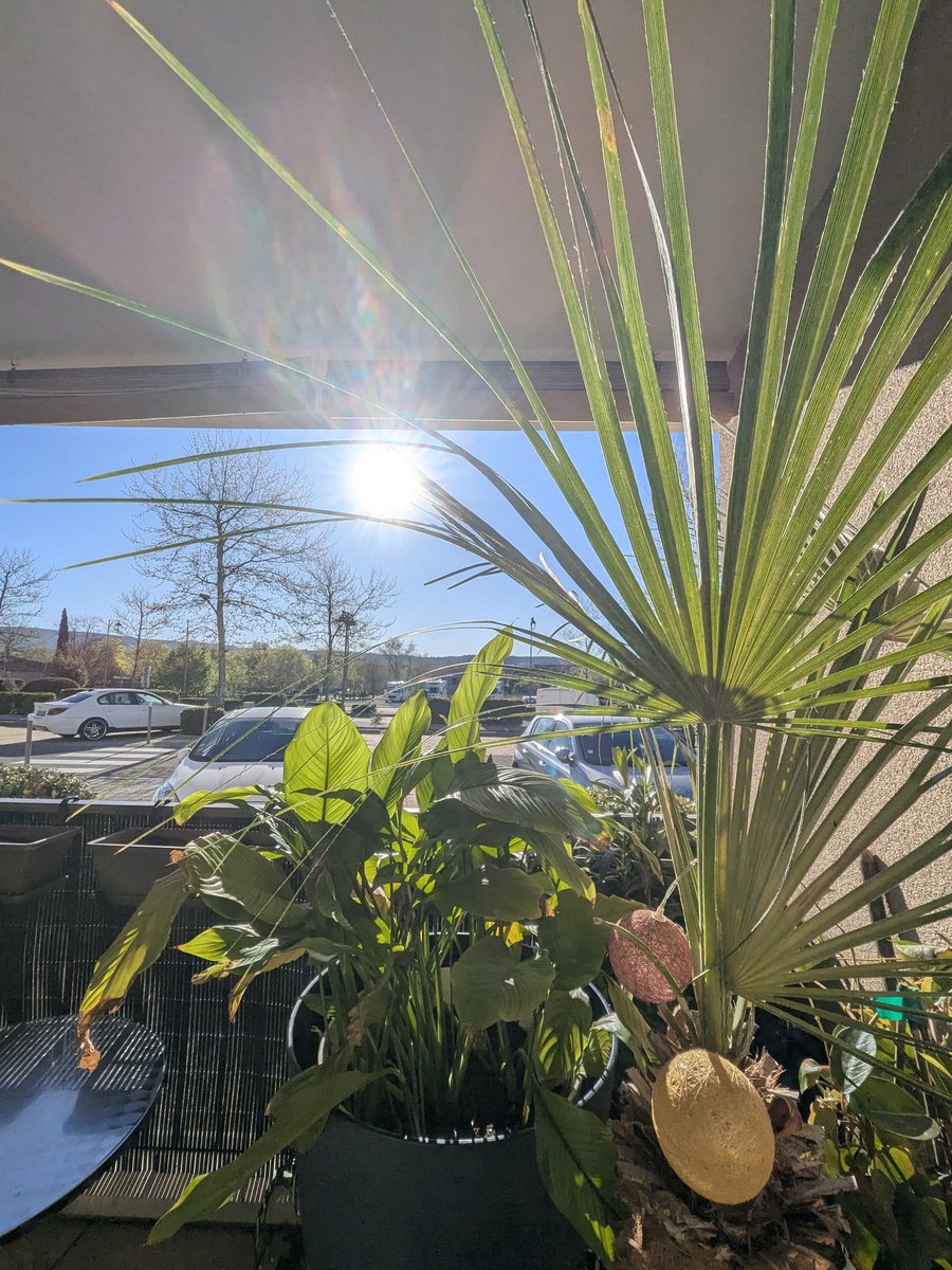 🇵​🇦​🇸​🇨​🇦​🇱​ 🌞🌞😎 tweet media