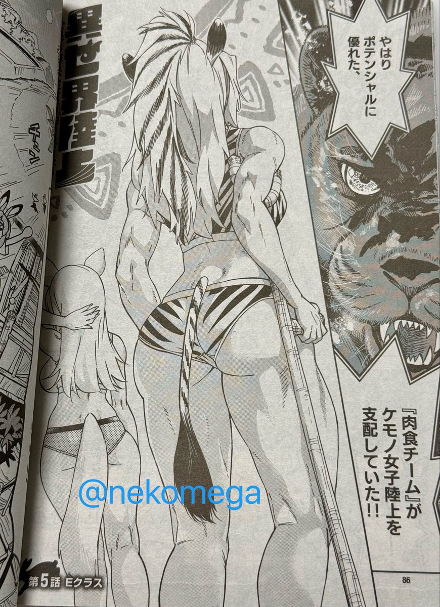 やっぱ誌面は最高だな👍
#異世界陸上
#サンデーGX
#サンデーうぇぶり 