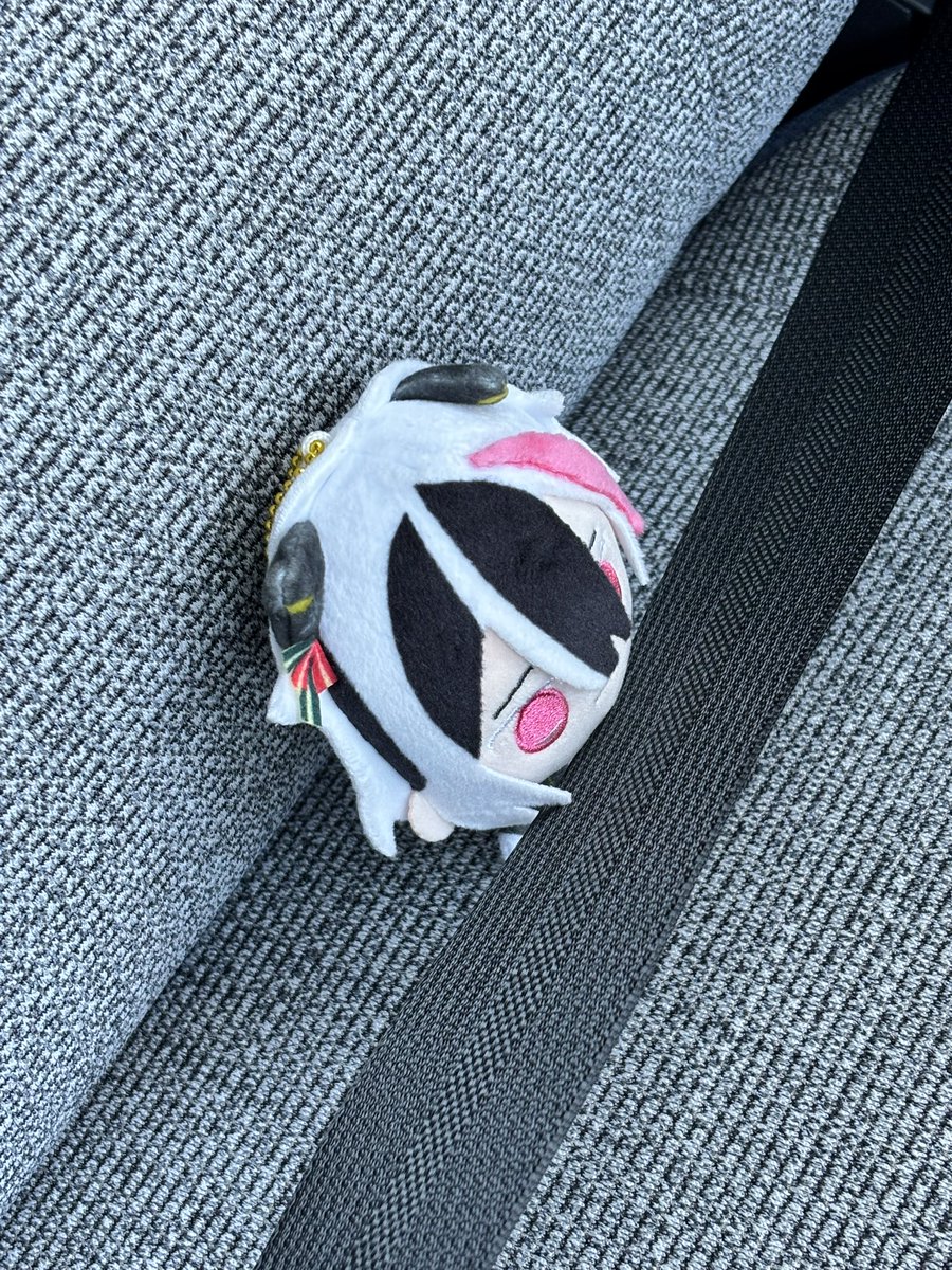 焼いたスルメ tweet media