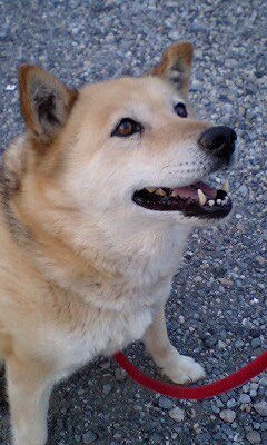 ヒデぽん tweet media