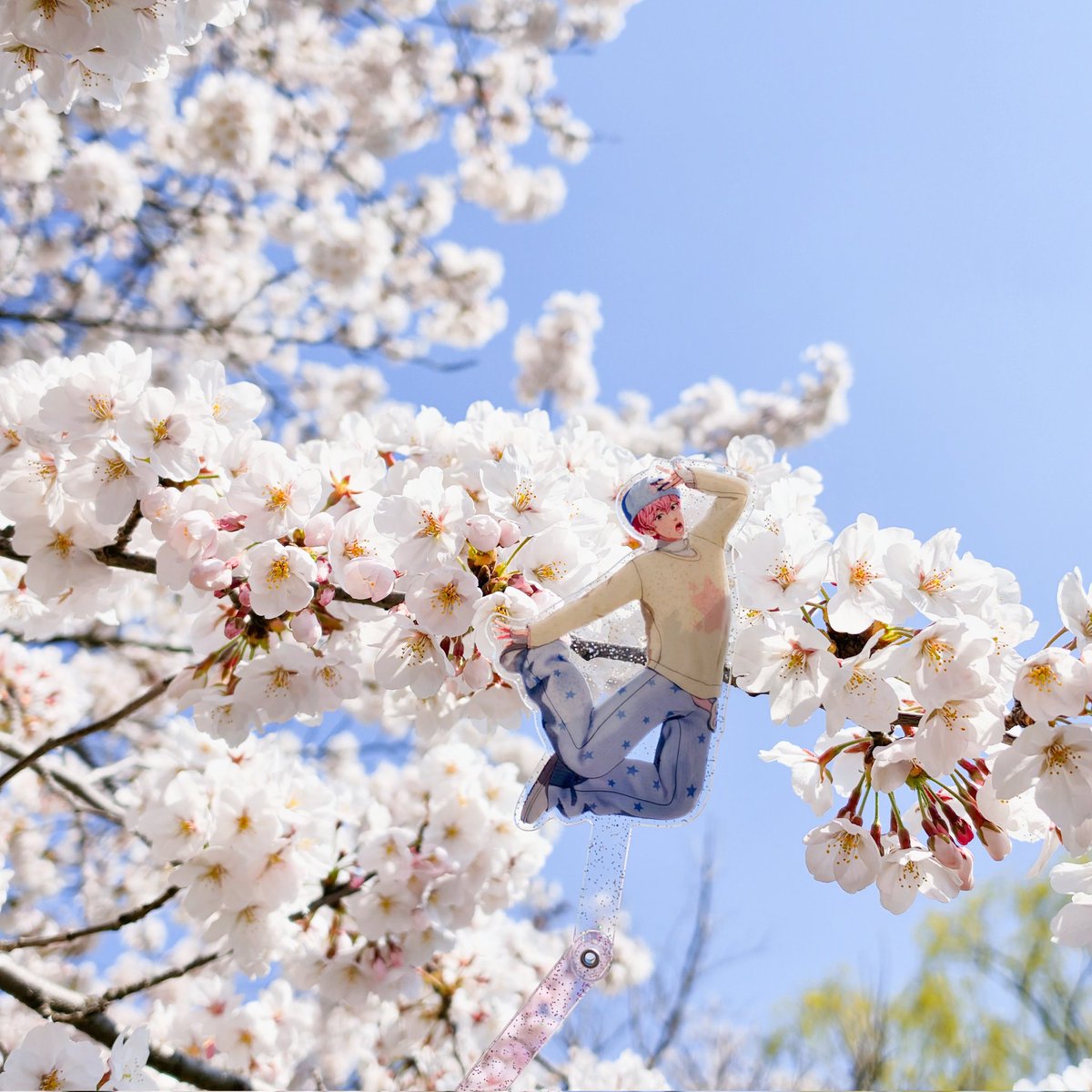 미나리🌿 tweet media