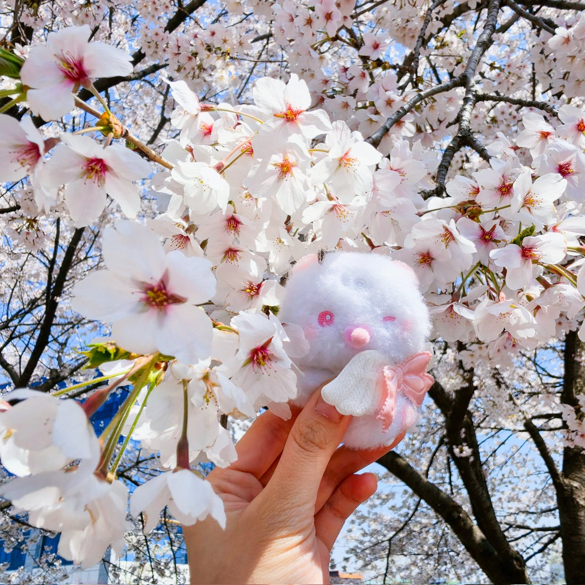 미나리🌿 tweet media