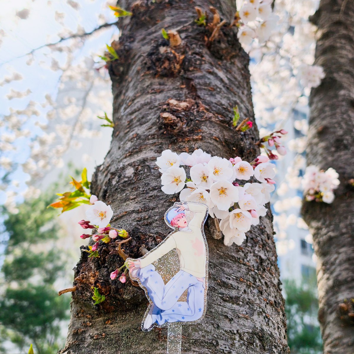 미나리🌿 tweet media