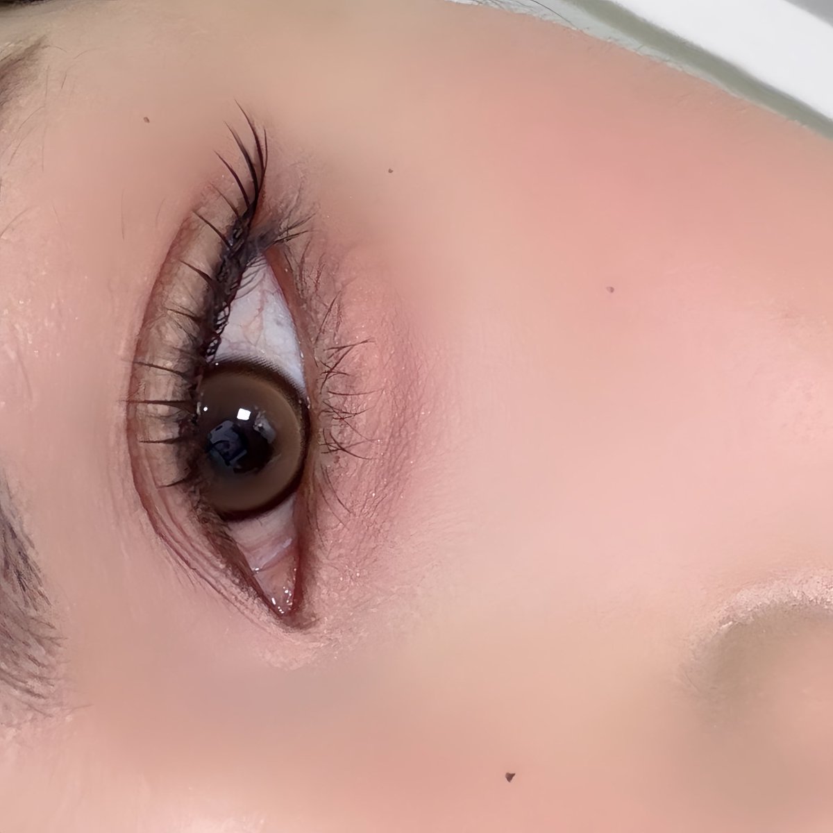 Jupiter Wi 24 42 tweet media