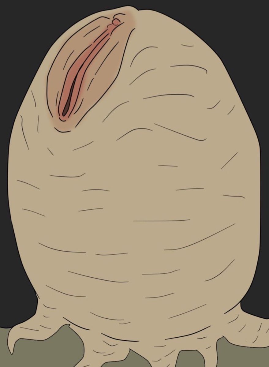 Astyrl (mostly weekends) tweet media