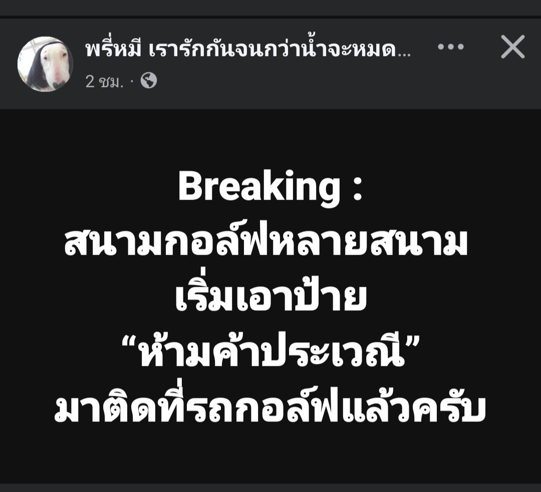 ฮ.นกฮูก(สีส้ม) tweet media