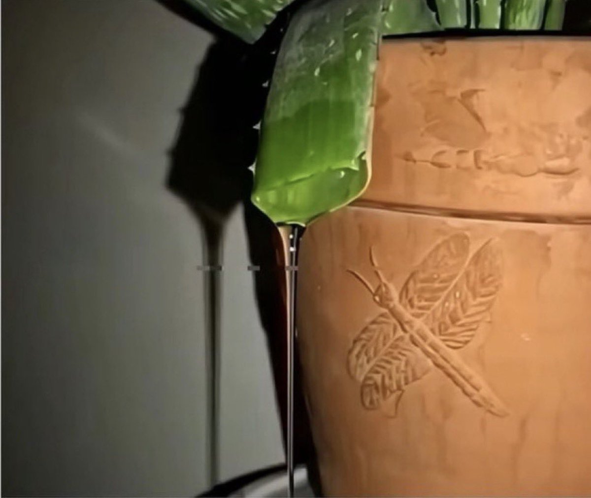 TOP-G Ⓜ️ tweet media