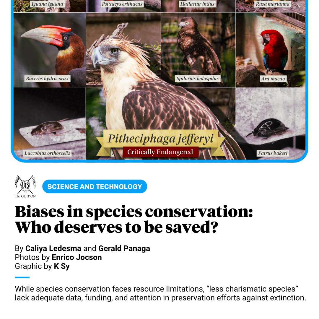 The GUIDON tweet media