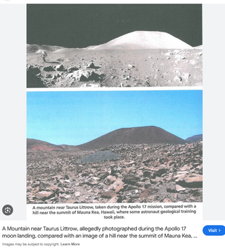 Moose Pasture Minerals tweet media