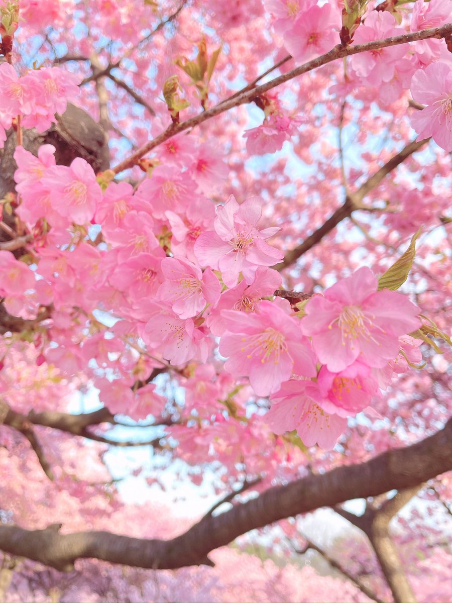 ྐ❤︎ あま ྐ❤︎ tweet media