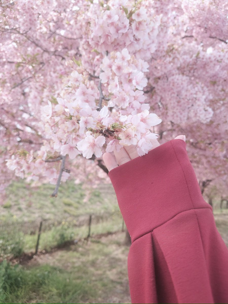 ྐ❤︎ あま ྐ❤︎ tweet media