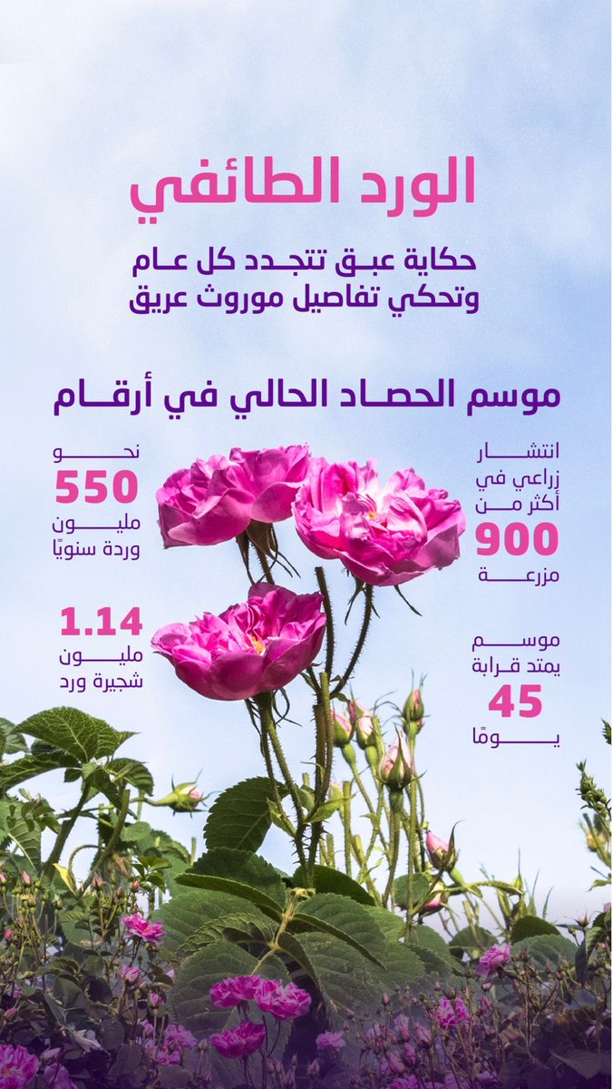 ALA_Wen tweet media