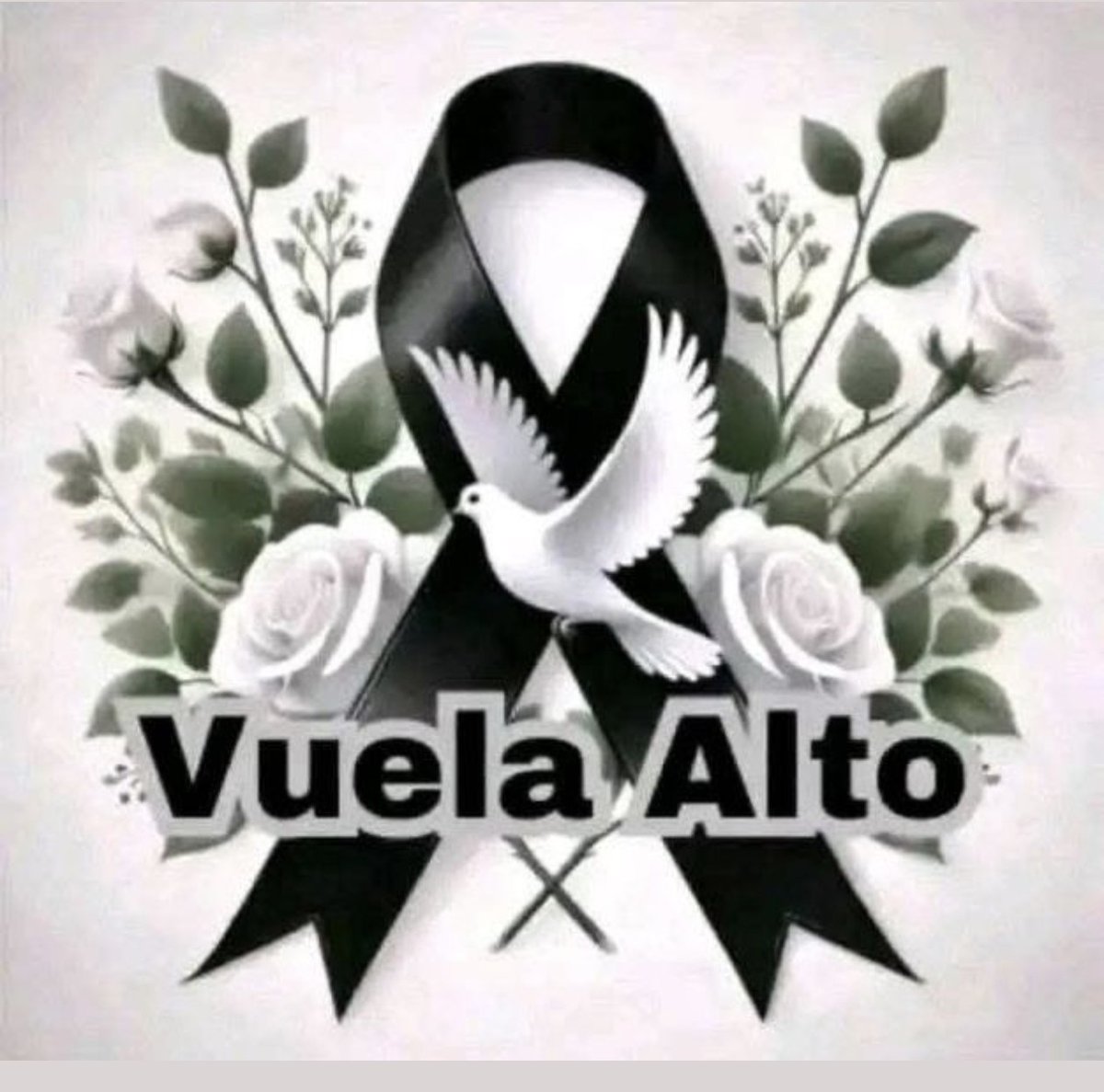 pcivilbalmaseda's tweet photo. Siento comunicar que nuestra compañera Estela a Fallecido, tenemos una estrella más en el cielo que cuidara de nosotros https://t.co/MEbY2E3kgj