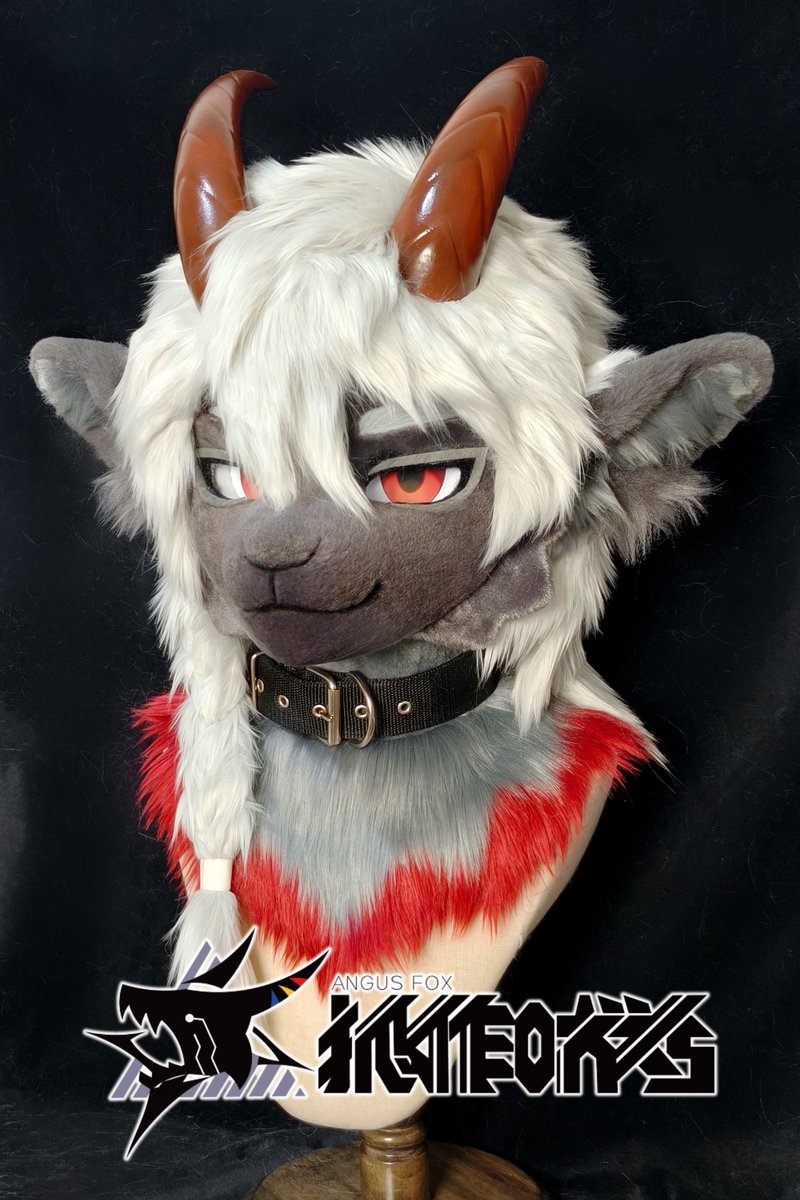 🦊_Angus tweet media