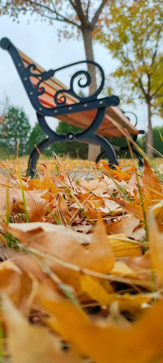 michele bronzo tweet media