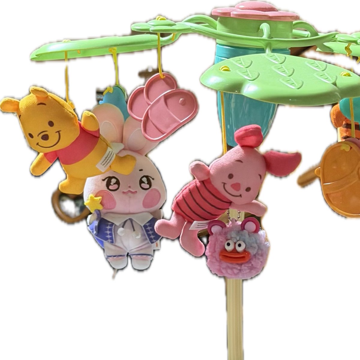 ロングスリーパー🎶 tweet media