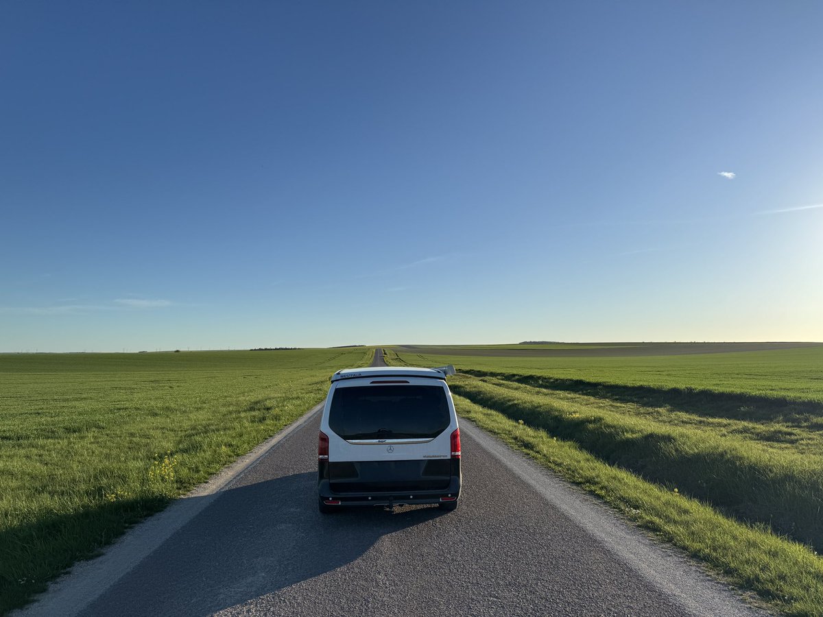 Robert Rowe tweet media