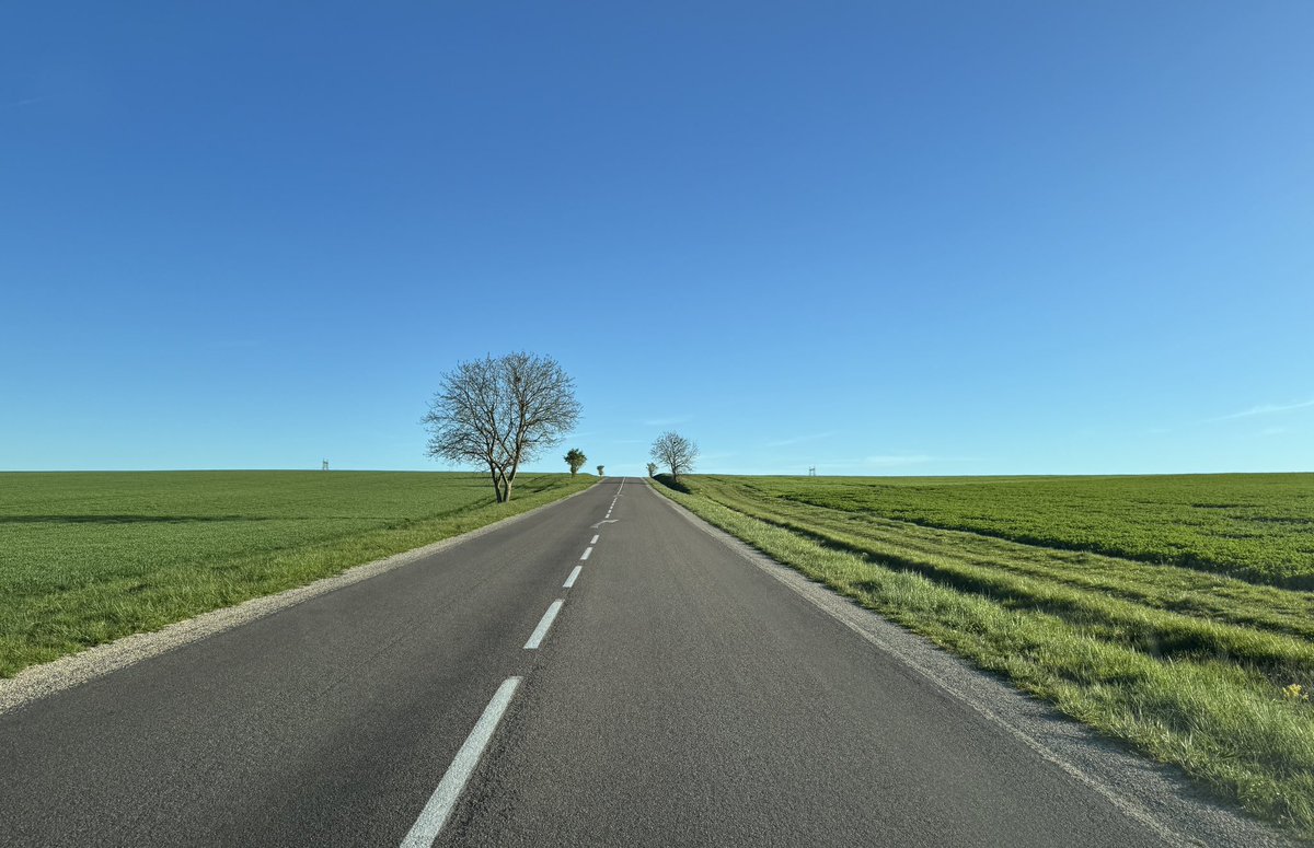 Robert Rowe tweet media